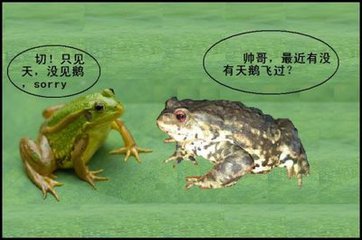 青蛙与癞蛤蟆.jpg