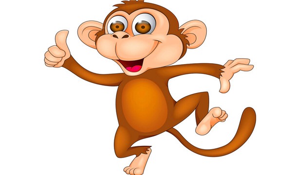 猴子1.jpg