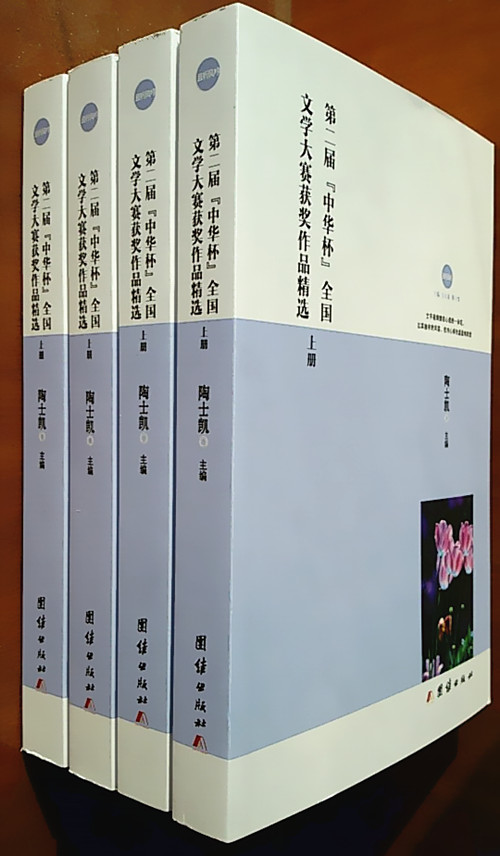 《第二届中华杯全国文学大赛获奖作品精选》上1.jpg