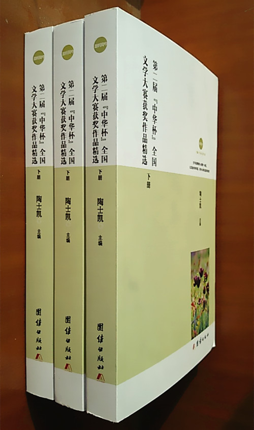 《第二届中华杯全国文学大赛获奖作品精选》下1.jpg