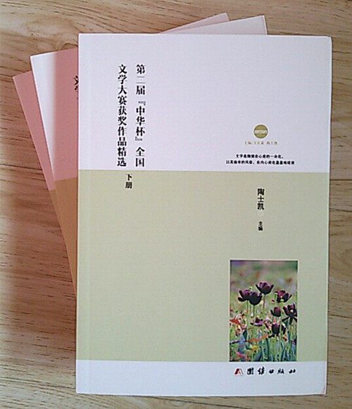 54《第二届“中华杯”全国文学创作大赛获奖作品精选　下册》2.jpg