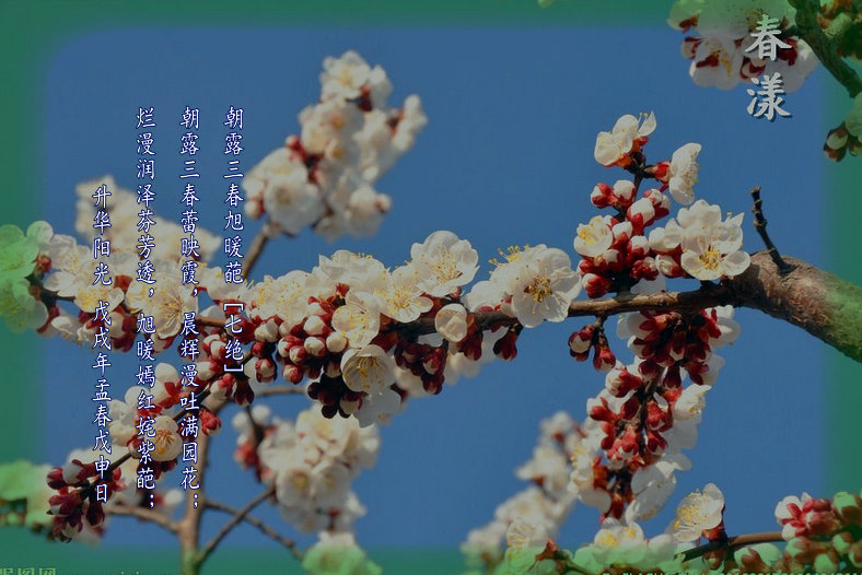 初春-(2).jpg