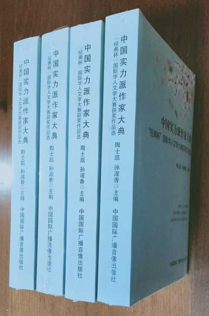 《中国实力派作家大典—“经典杯”国际华人文学大赛获奖作品选》.jpg