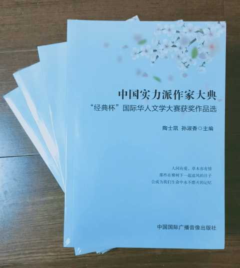 《中国实力派作家大典——“经典杯”国际华人文学大赛获奖作品选》.jpg